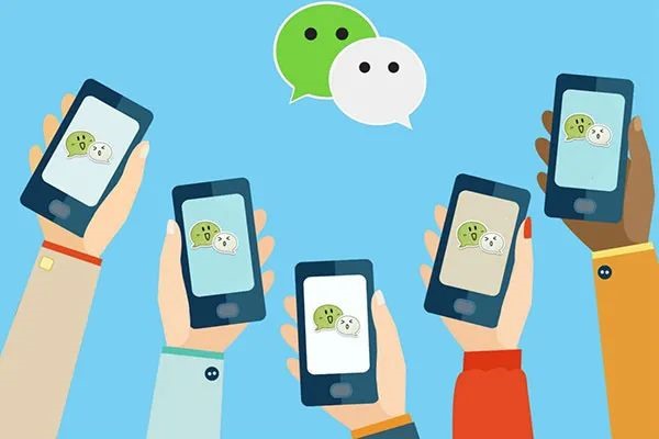 交易猫易找回账号？